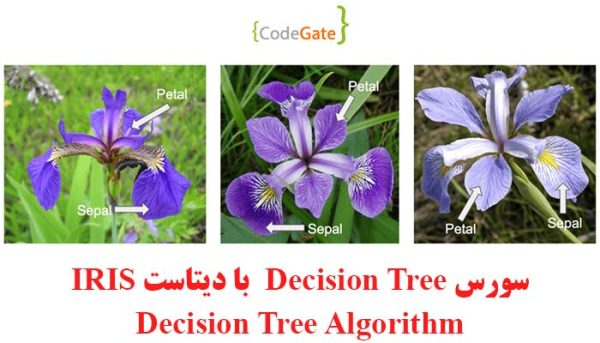 سورس طبقه بندی داده های Iris با الگوریتم Decision Tree